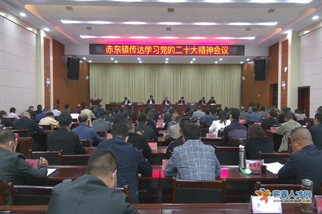 蕲春各地传达学习党的二十大精神
