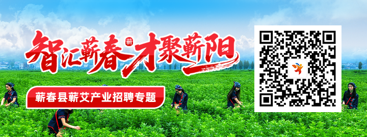 蕲艾精英招聘专业