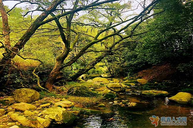 在蘄春這個網紅地—大同三山坳你該如何打卡