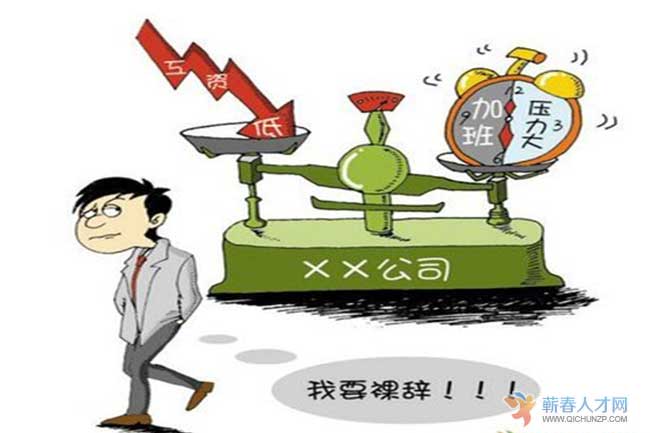 跳槽分析