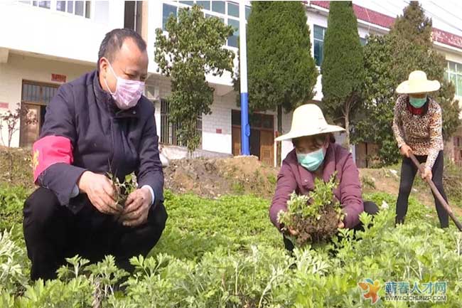 国家机关党员志愿者