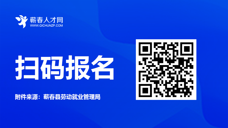 政府公招资料下载.png